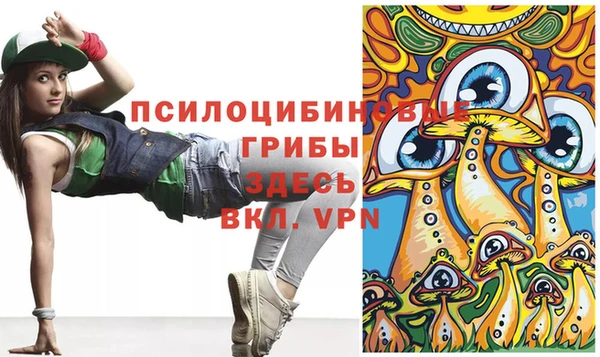 стафф Арсеньев