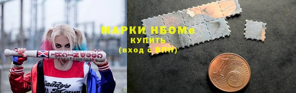 стафф Арсеньев