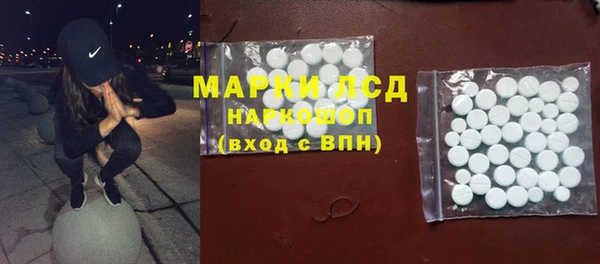 стафф Арсеньев