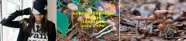 apvp Армянск